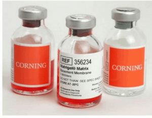 Corning®?Mtrigel®基质-10ml