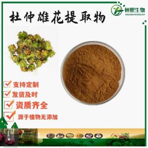杜仲雄花提取物 另有供应杜仲皮提取物 杜仲叶提取物