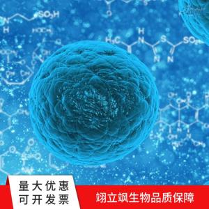 小鼠胚胎干细胞 产品图片