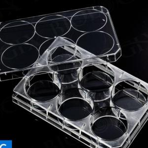 巴罗克 6孔超低吸附3D培养板,PS材质 85.4x127.6x20.2mm 39706