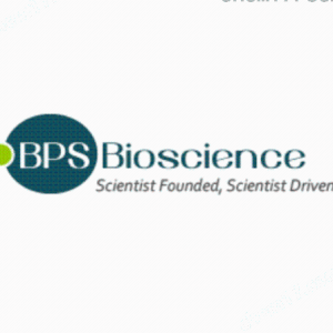 BPS Bioscience細胞系產品