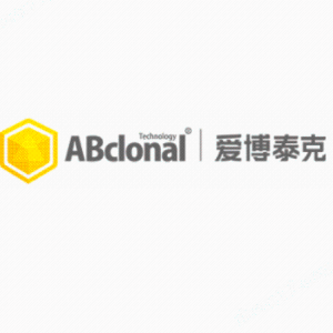 ABclonal抗體產(chǎn)品