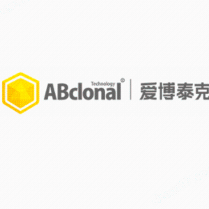 ABclonal?NGS產(chǎn)品