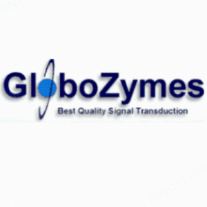 Globozymes抗體產(chǎn)品