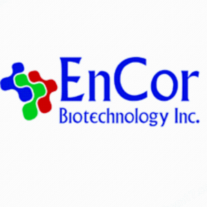 EnCor Biotechnology抗體產(chǎn)品