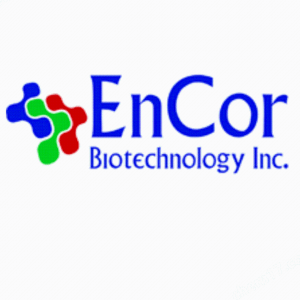 EnCor Biotechnology Elisa試劑盒