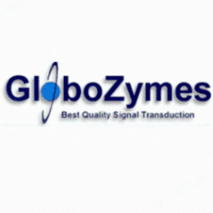 Globozymes蛋白激酶產(chǎn)品