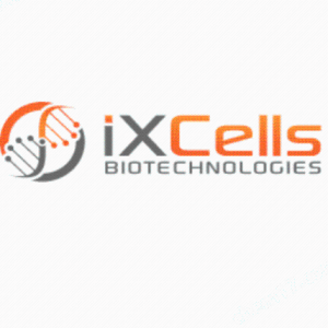 iXCells BIOTECHNOLOGIES细胞产品