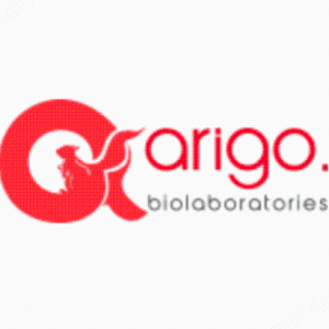 Arigo Biolaboratories抗體