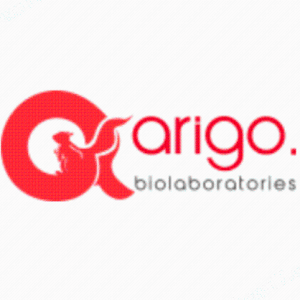 Arigo Biolaboratories重組蛋白產品