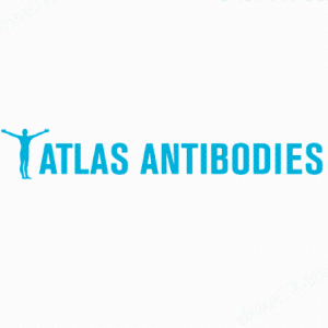 Atlas Antibodies抗體產(chǎn)品