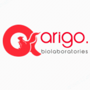 Arigo Biolaboratories試劑盒產品