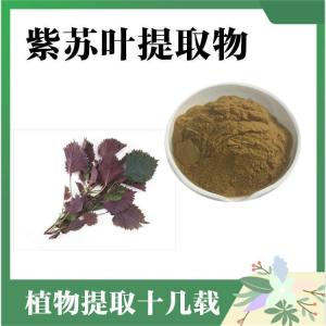 紫苏叶提取物  水溶紫苏叶粉