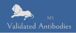 MS Validated Antibodies GmbH产品