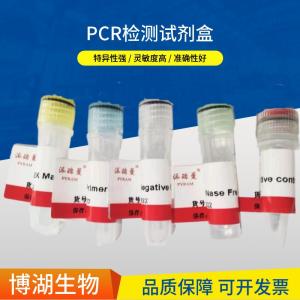 HG TaqMan miRNA定量PCR试剂盒 产品图片