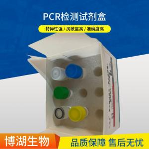 2×Long Taq PCR MasterMix( 含绿染料）（3×Taq Mix长片段扩增预混液） 产品图片