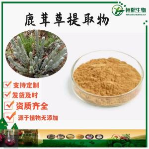 鹿茸草提取物   千重塔提取物