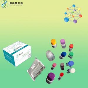 大鼠鏈脲佐菌素(STZ)elisa試劑盒