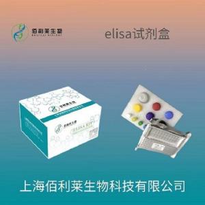 人肌酸激酶(CK)ELISA試劑盒