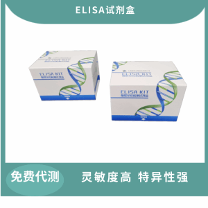 人白介素2(IL-2）酶联免疫分析试剂盒 产品图片