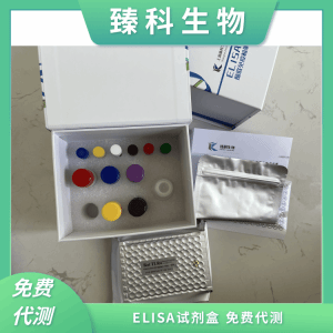 人多巴胺(DA）elisa试剂盒 产品图片