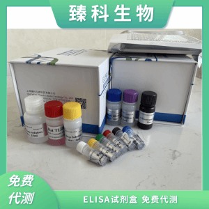 猴粒细胞巨噬细胞集落刺激因子(GM-CSF）elisa试剂盒ZK-12684