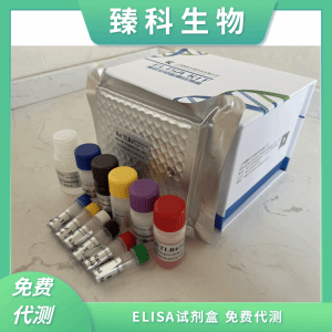 四环素快速检测试剂盒 产品图片
