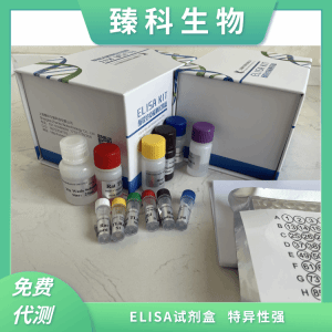 人转铁蛋白(TRF）elisa检测试剂盒 产品图片