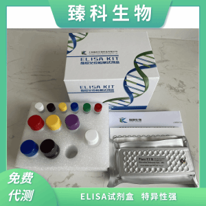 人晚期糖基化终末产物受体(RAGE;AGER）elisa试剂盒 产品图片
