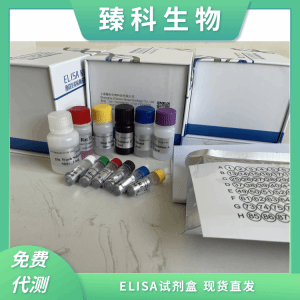 猴凝聚素(CLU）elisa试剂盒ZK-12640