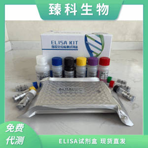人胰岛素样生长因子4(IGF-4）elisa试剂盒 产品图片