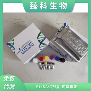小鼠甲状腺素(T4）elisa试剂盒 产品图片