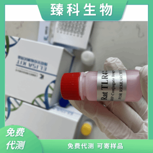 鸡可溶性E选择素(sE-selectin）elisa试剂盒ZK-14220