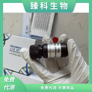 猴促卵泡素(FSH）elisa试剂盒ZK-12623