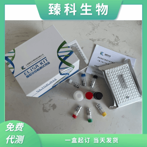黄曲霉素总量ELISA检测试剂盒 产品图片