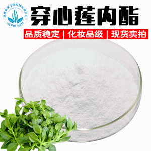 穿心莲内酯98% 规格全可定制穿心莲内脂 穿心莲提取物 100g/袋