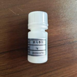 索玛鲁肽/910463-68-2 产品图片