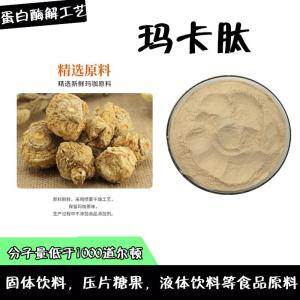 玛卡肽  提取酶解工艺  玛卡小分子肽