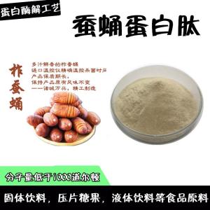 蚕蛹蛋白肽  提取酶解工艺  小分子