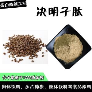决明子肽  酶解工艺