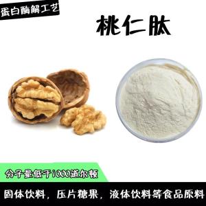 核桃肽  分子量500道尔顿