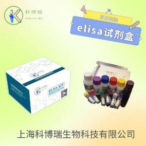人丁酰胆碱酯酶(BCHE)elisa试剂盒