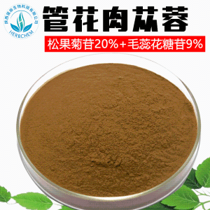 管花肉苁蓉提取物80%松果菊苷10%-80%质量保证现货包邮