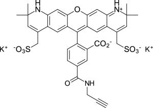 AF 568 alkyne, 5-isomer,AF568 炔基, 5-异构体,具有光化学稳定性和亮度