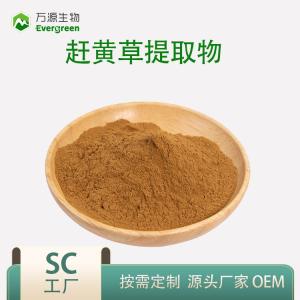 趕黃草提取物2：1 4：1廠家現(xiàn)貨包郵可拿樣趕黃草粉趕黃草濃縮液