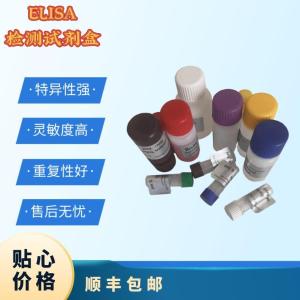 大鼠脱氢表雄酮硫酸酯(DHEA-S)酶联免疫吸附测定试剂盒