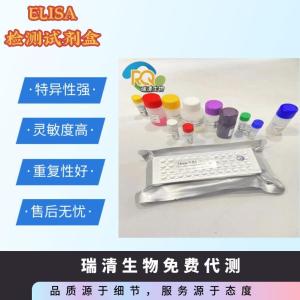 兔免疫球蛋白 A（IgA）ELISA 检测试剂盒