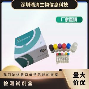 小鼠乳腺癌易感蛋白1（BRCA1）ELISA检测试剂盒 