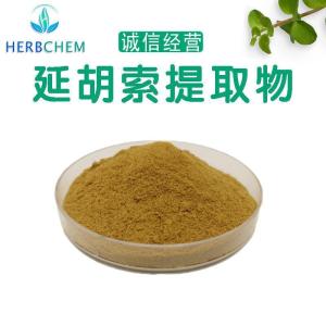 延胡索提取物10:1植物萃取延胡索粉延胡索乙素现货供应