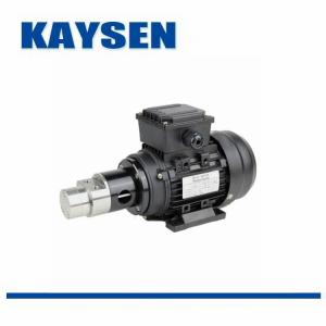 进口磁力齿轮泵-进口磁力泵-德国KAYSEN泵业